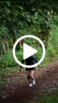 BIB:  <button type="button" onclick="openModal(27282434)" class="btn btn-primary btn-sm float-right" data-toggle="modal" data-target=".modal-high-quality">
                <i class="fa fa-download"></i> Download
                </button>